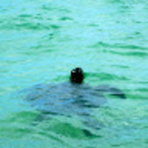 Meet your Posher, Connie